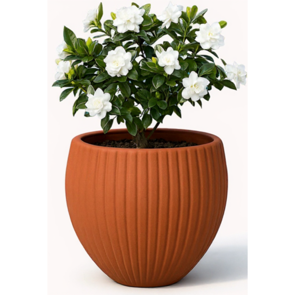 Flower pots